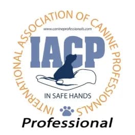Certified Dog Training