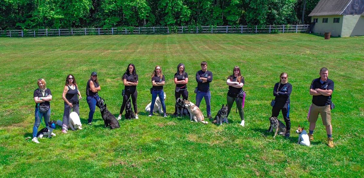 Service Dog Training for Veterans