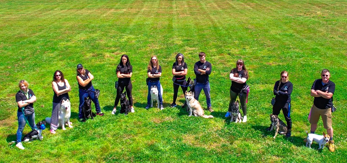 Off-Leash Recall
